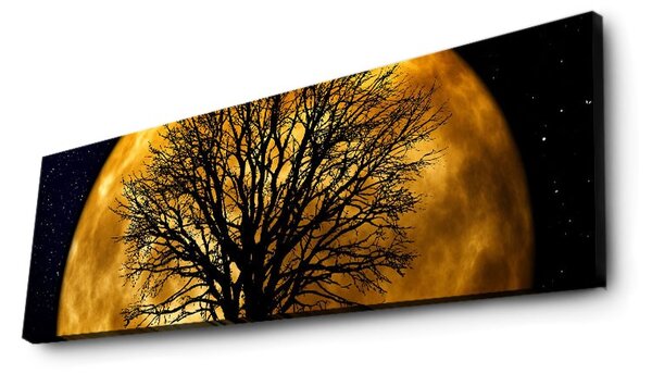 ASIR LED podsvietený obraz MESIAC 30 cm plátno