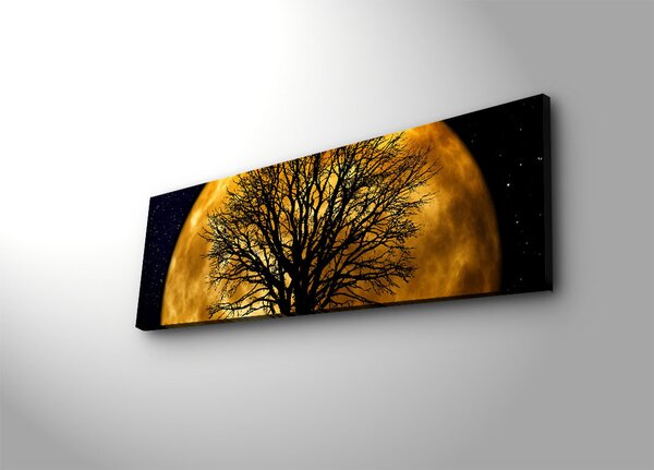 ASIR LED podsvietený obraz MESIAC 30 cm plátno