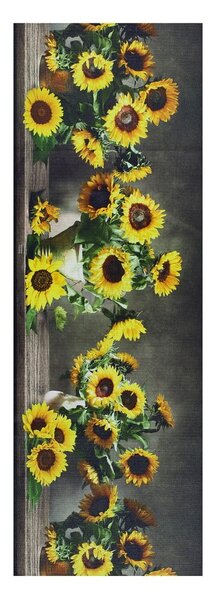Behúň Universal Ricci Sunflowers, 52 x 200 cm
