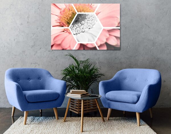 Obraz gerbera v šesťuholníku