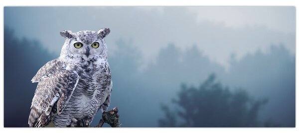 Obraz - Sova snežná (120x50 cm)