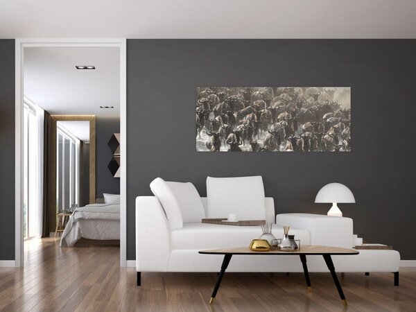Obraz - Stádo pakoňov (120x50 cm)