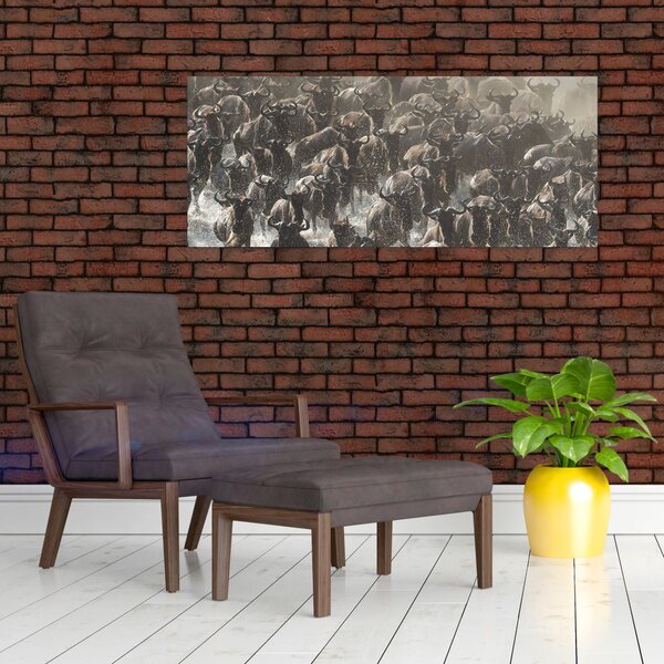 Obraz - Stádo pakoňov (120x50 cm)