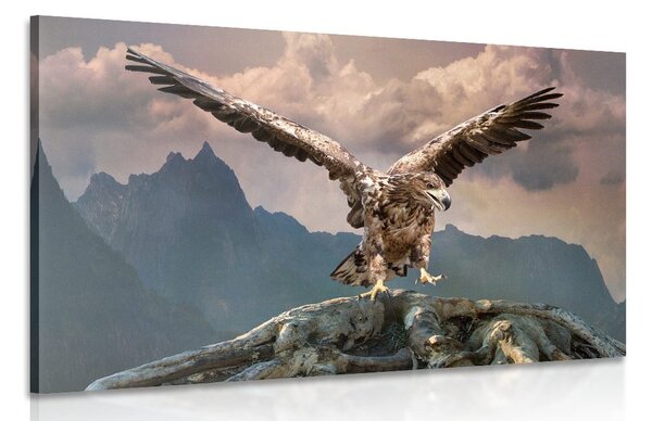 Obraz orol s roztiahnutými krídlami nad horami