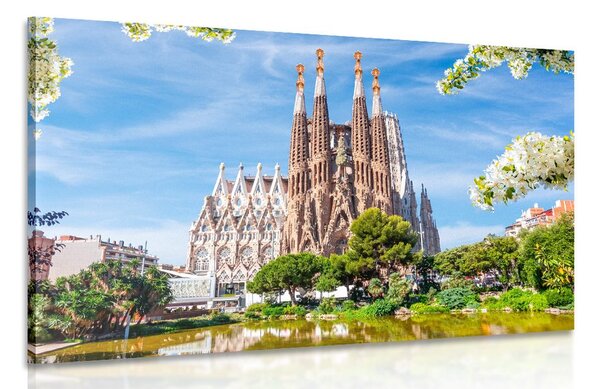 Obraz katedrála v Barcelone