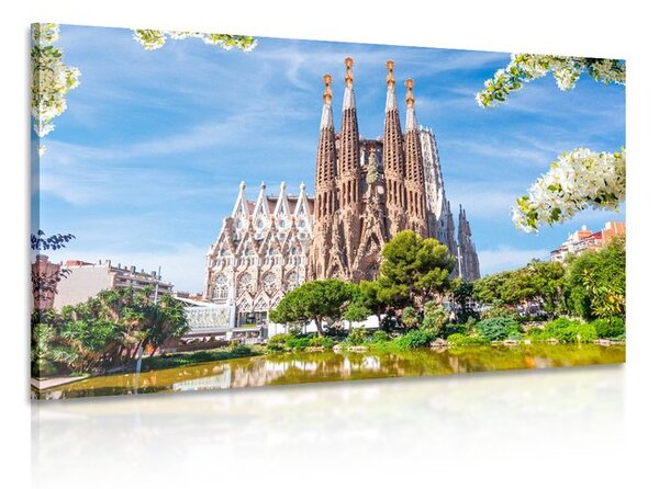 Obraz katedrála v Barcelone