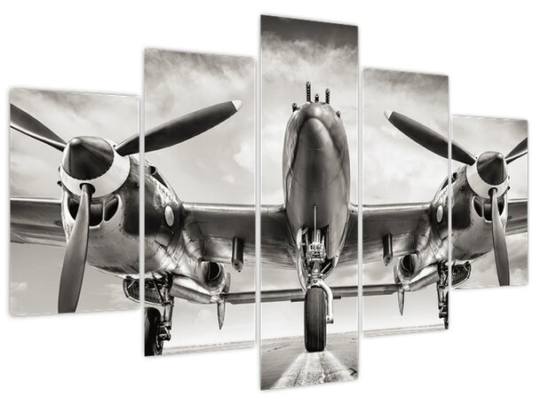 Obraz - Warbird (150x105 cm)