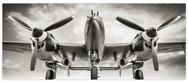 Obraz - Warbird (120x50 cm)