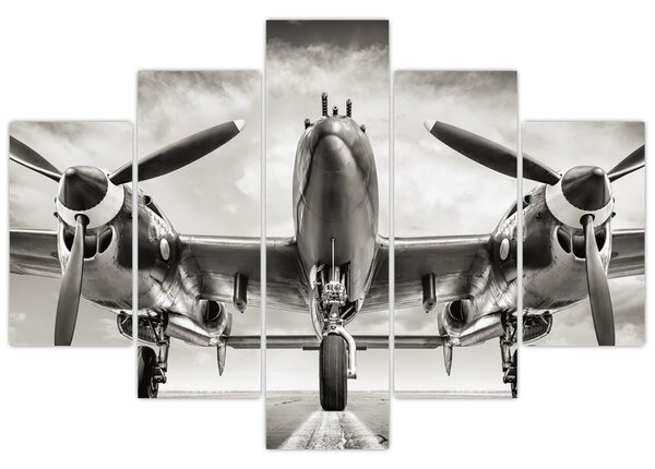 Obraz - Warbird (150x105 cm)
