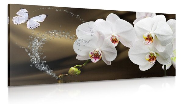 Obraz orchidea a motýľ