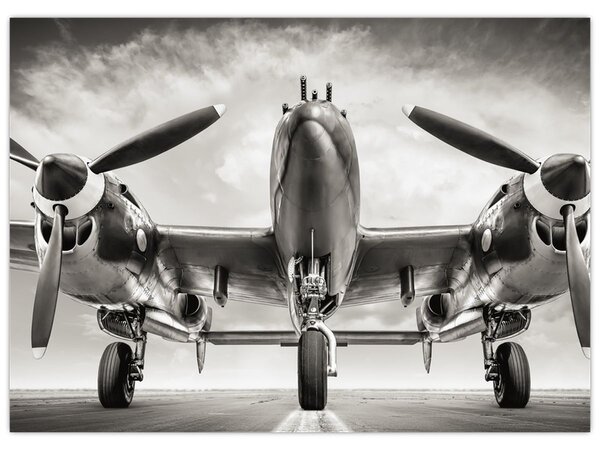 Obraz - Warbird (70x50 cm)