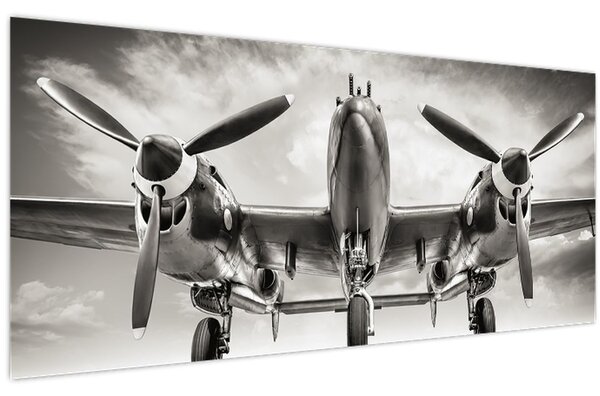 Obraz - Warbird (120x50 cm)
