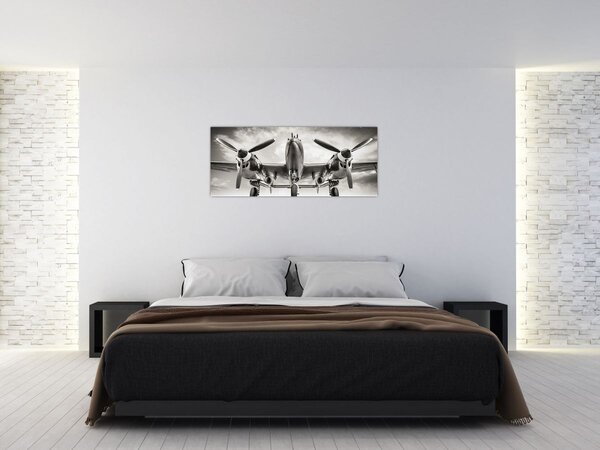 Obraz - Warbird (120x50 cm)