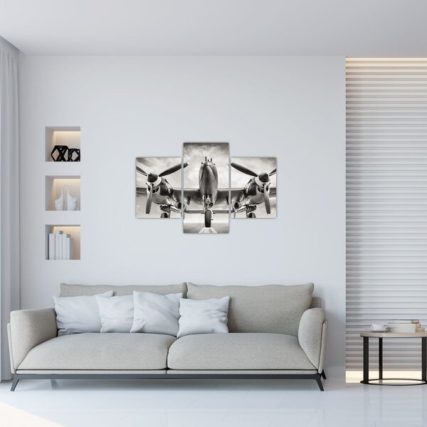 Obraz - Warbird (90x60 cm)