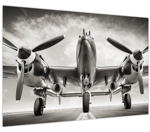 Obraz - Warbird (90x60 cm)