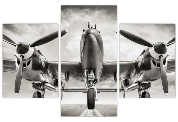 Obraz - Warbird (90x60 cm)