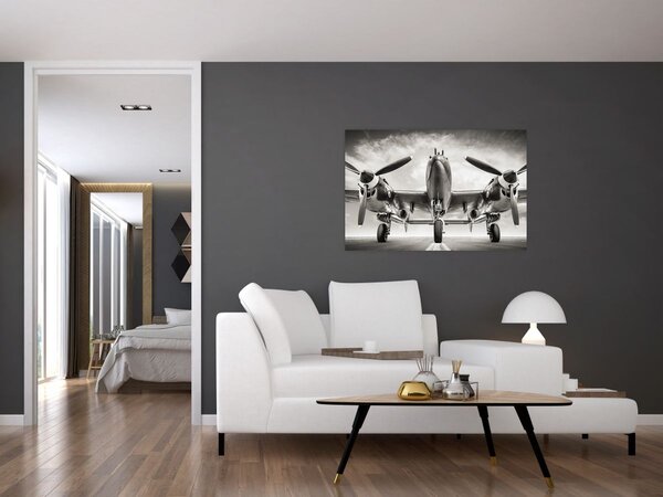 Obraz - Warbird (90x60 cm)