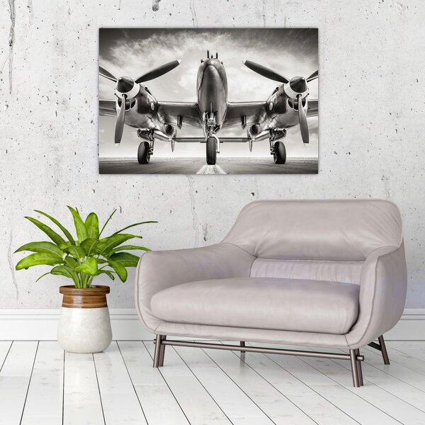 Obraz - Warbird (90x60 cm)