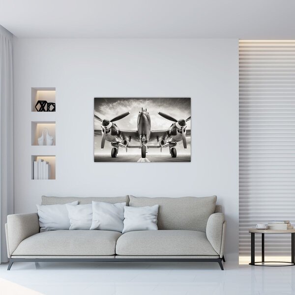 Obraz - Warbird (90x60 cm)