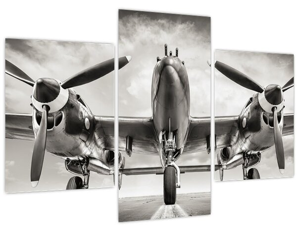 Obraz - Warbird (90x60 cm)