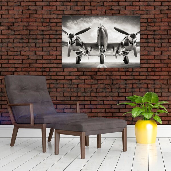 Obraz - Warbird (90x60 cm)