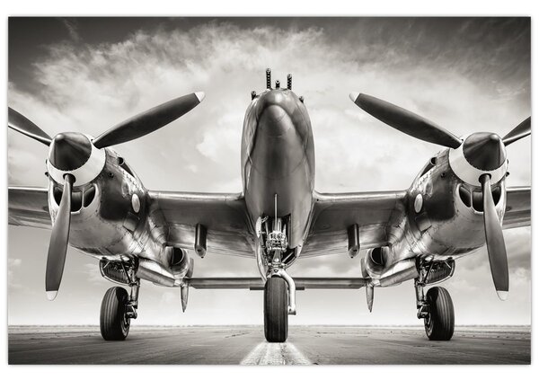 Obraz - Warbird (90x60 cm)