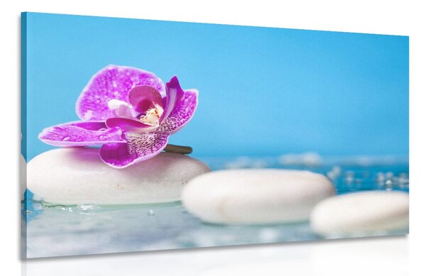 Obraz orchidea a Zen kamene