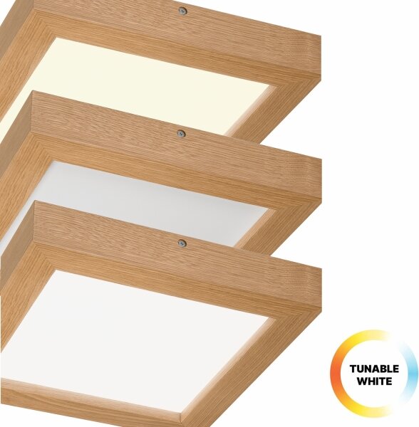 Brilagi-LED Stmievateľné svietidlo WOODY FRAME LED/24W/230V dub 30x30 cm IP44 + DO