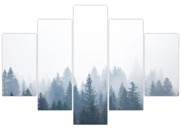 Obraz - Zahmlený les (150x105 cm)