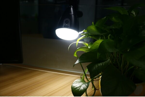 LED Lampička KLIP s USB nabíjaním LED/5W/5V 4000K