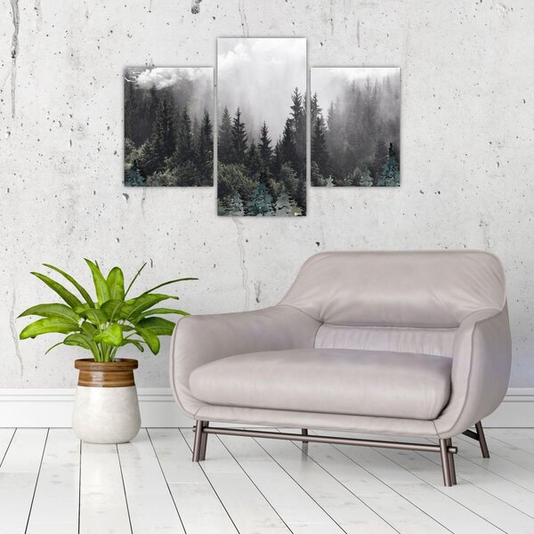 Obraz - Les s ilustrovanými prvkami (90x60 cm)