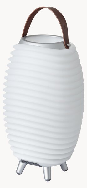 Prenosná stmievateľná záhradná LED lampa s reproduktorom Synergy S