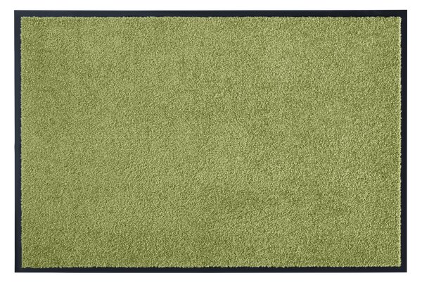 Hanse Home Collection koberce Rohožka Wash & Clean 101470 Green - 40x60 cm