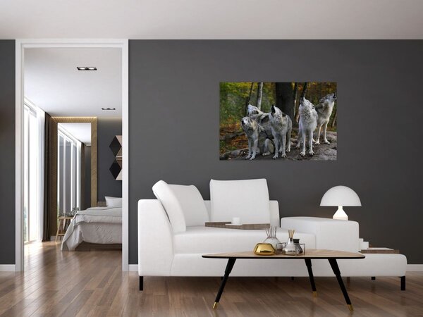 Obraz - Vlci na skale (90x60 cm)