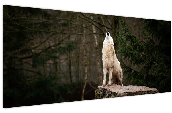 Obraz - Vytie vlka (120x50 cm)