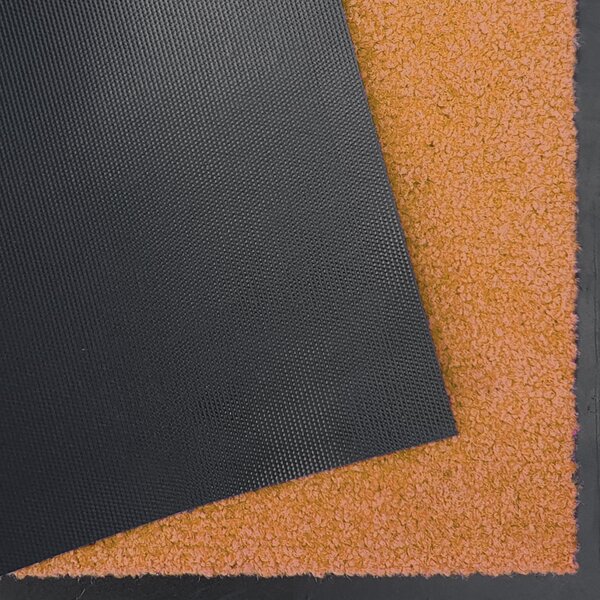 Hanse Home , Rohožka Wash & Clean 101469 Orange, 120x180, oranžová, chodba / predsieň