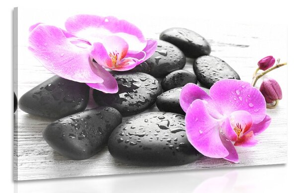Obraz krásna súhra kameňov a orchidey