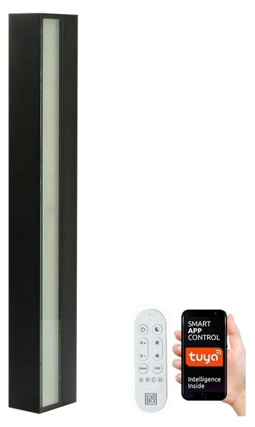 Immax NEO 07247L- LED Stmievateľné vonkajšie svietidlo 40W/230V Wi-Fi Tuya IP44 +DO