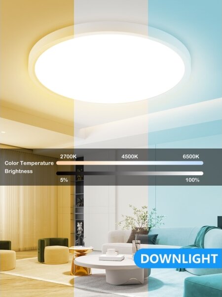 Immax NEO 07169-W60 - LED RGB Stmievateľné svietidlo TUDO 65W/230V Wi-Fi Tuya + DO