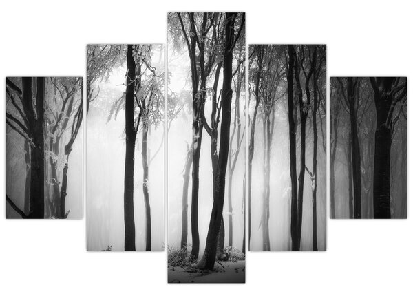 Obraz - Vlk v temnom lese (150x105 cm)