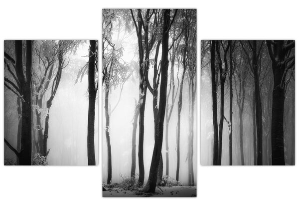Obraz - Vlk v temnom lese (90x60 cm)