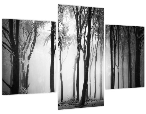 Obraz - Vlk v temnom lese (90x60 cm)