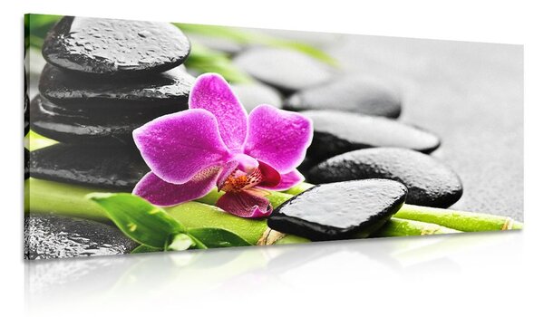 Obraz wellness zátišie s fialovou orchideou