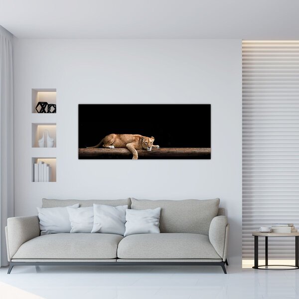 Obraz - Levice (120x50 cm)