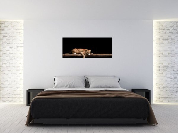 Obraz - Levice (120x50 cm)