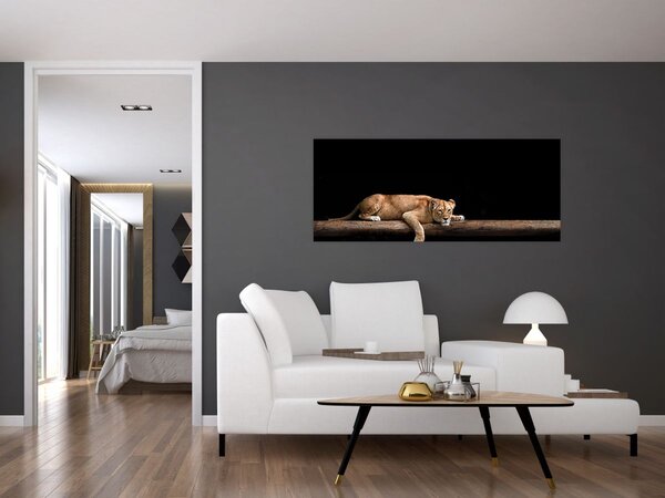 Obraz - Levice (120x50 cm)