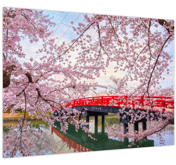 Obraz - Hirosaki, Japonsko (70x50 cm)