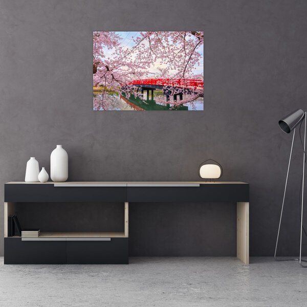 Obraz - Hirosaki, Japonsko (70x50 cm)