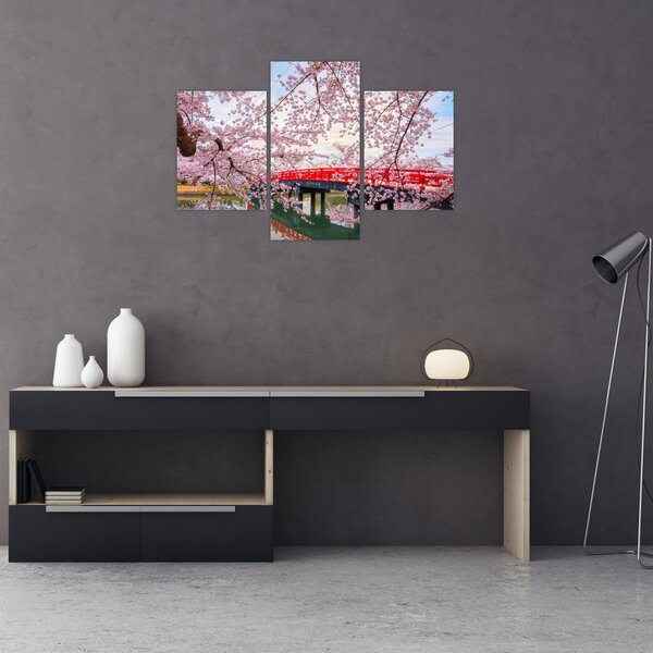 Obraz - Hirosaki, Japonsko (90x60 cm)