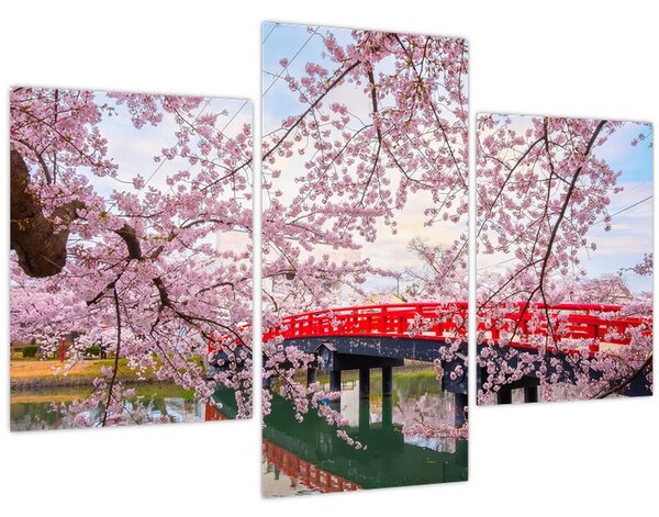 Obraz - Hirosaki, Japonsko (90x60 cm)